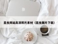 白山昆虫网站高清照片素材（昆虫图片下载）